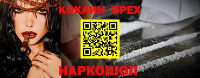 кокс Гатчина