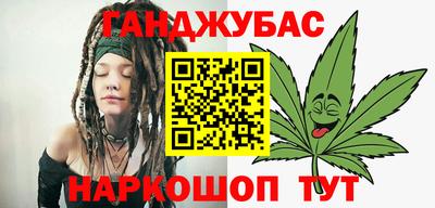 дмт Гай