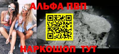 кокс Гатчина