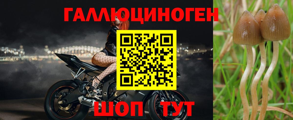 Галлюциногенные грибы прущие грибы  Вход с VPN  Новокузнецк 